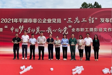 浙江鴻禧能源股份有限公司210電池技術攻關項目組榮獲平湖市非公企業“黨員先鋒團隊”榮譽稱号